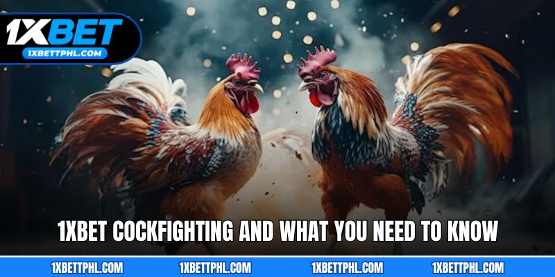 1xbet Cockfighting and What You Need to Know