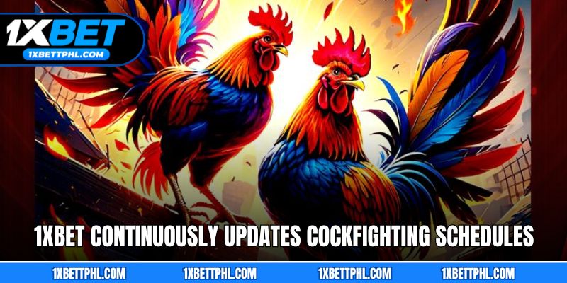 1xbet continuously updates cockfighting schedules
