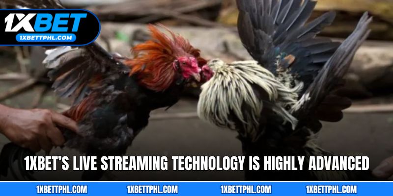 1xbet’s Live Streaming Technology Is Highly Advanced