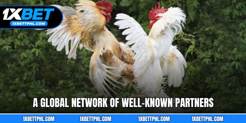 A Global Network of Well-Known Partners