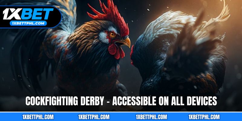 Cockfighting Derby - Accessible on all devices