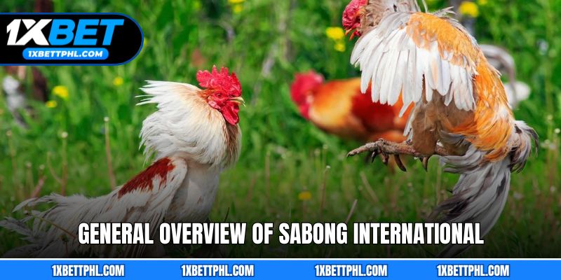 General Overview of Sabong International