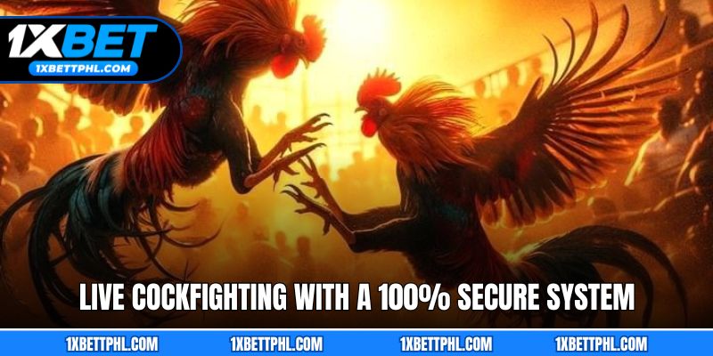 Live Cockfighting with a 100% Secure System