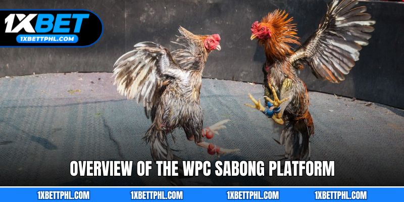 Overview of the WPC Sabong platform