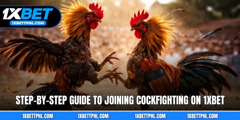 Step-by-Step Guide to Joining Cockfighting on 1xbet
