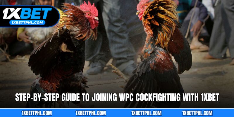 Step-by-step guide to joining WPC cockfighting with 1xbet