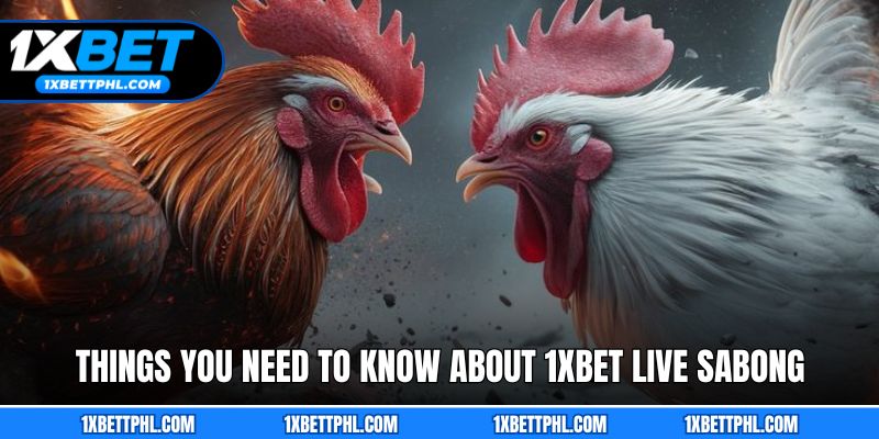 Things You Need to Know About 1xbet Live Sabong